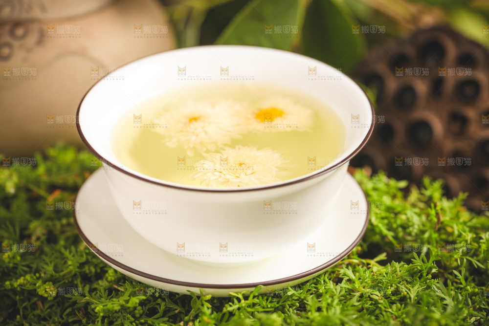 一杯杭白菊菊花茶