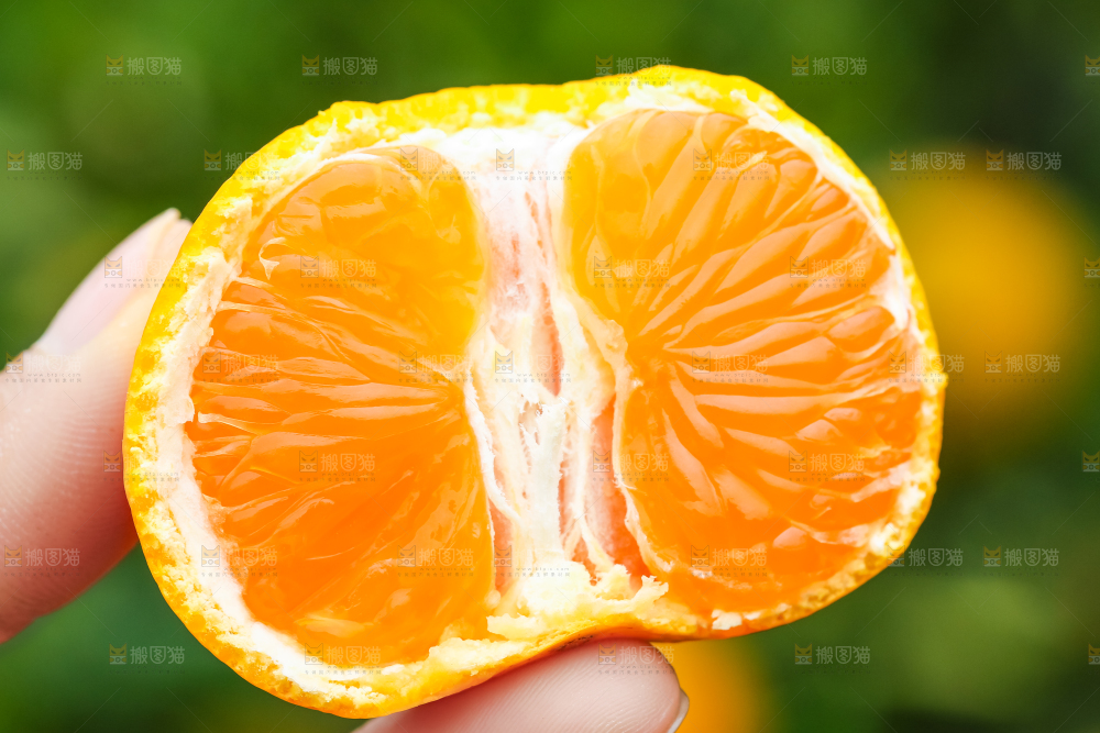 手里拿着椪柑橘