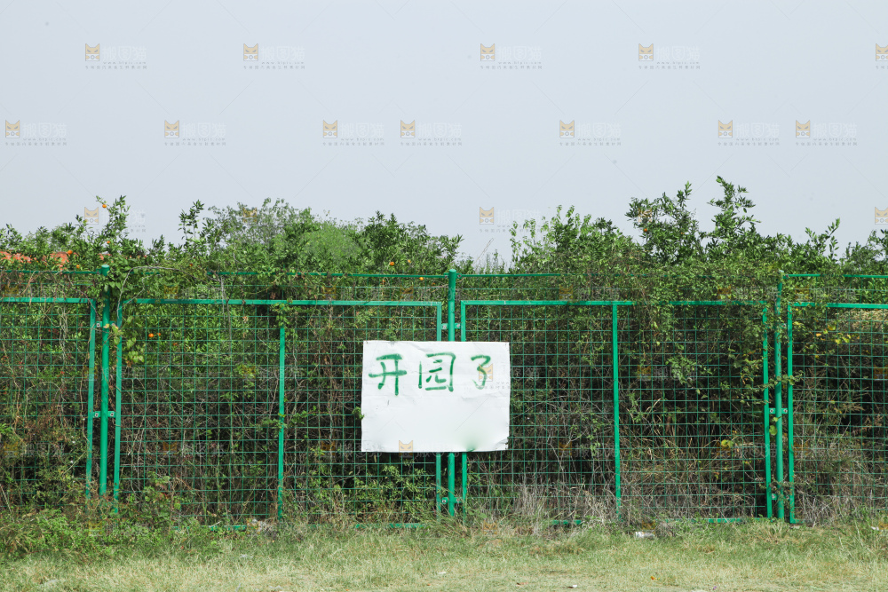 橘子种植基地