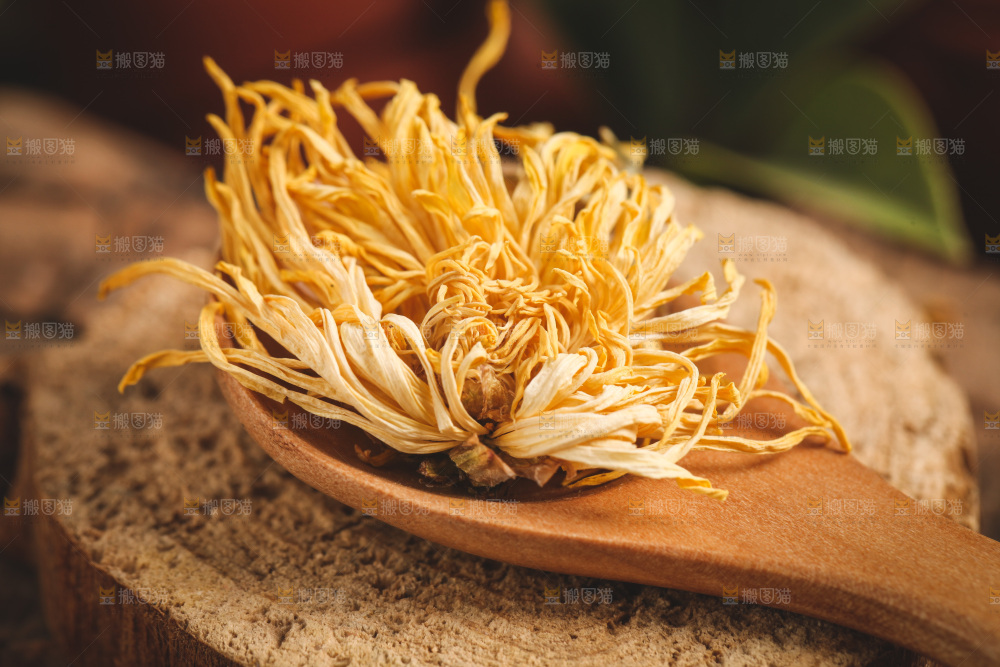 木底上勺子里的金丝皇菊