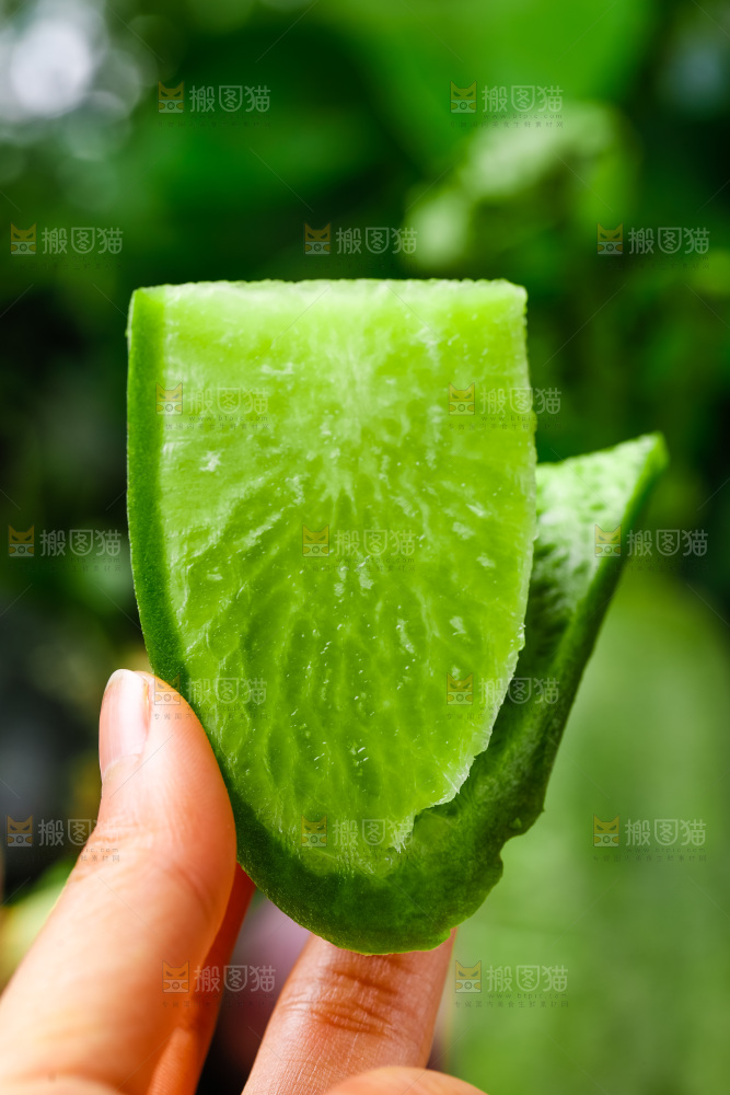 手上拿着切开皮的绿萝卜
