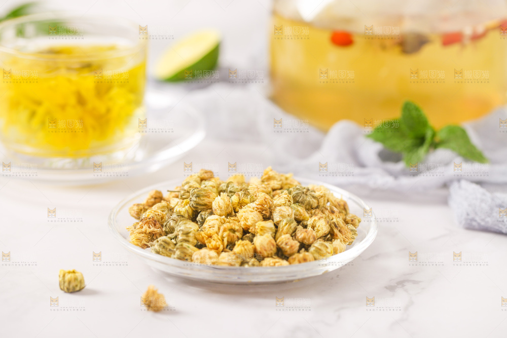 白底上放着一盘胎菊