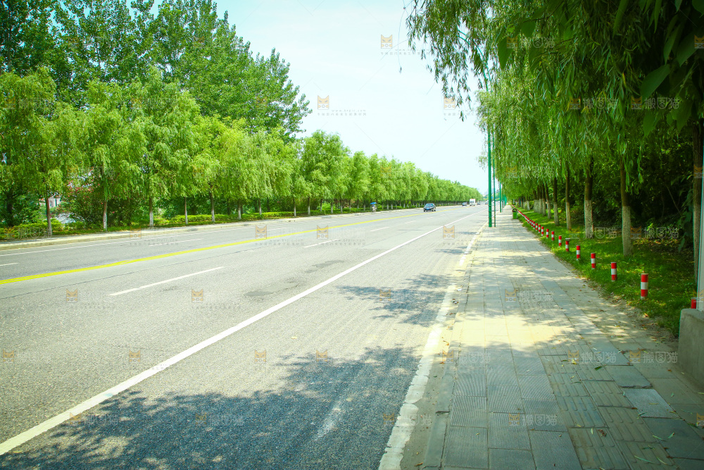 机动车道路
