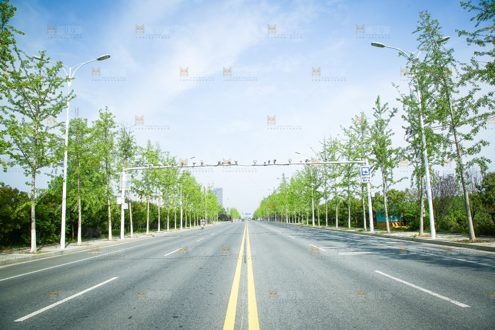 一条公路