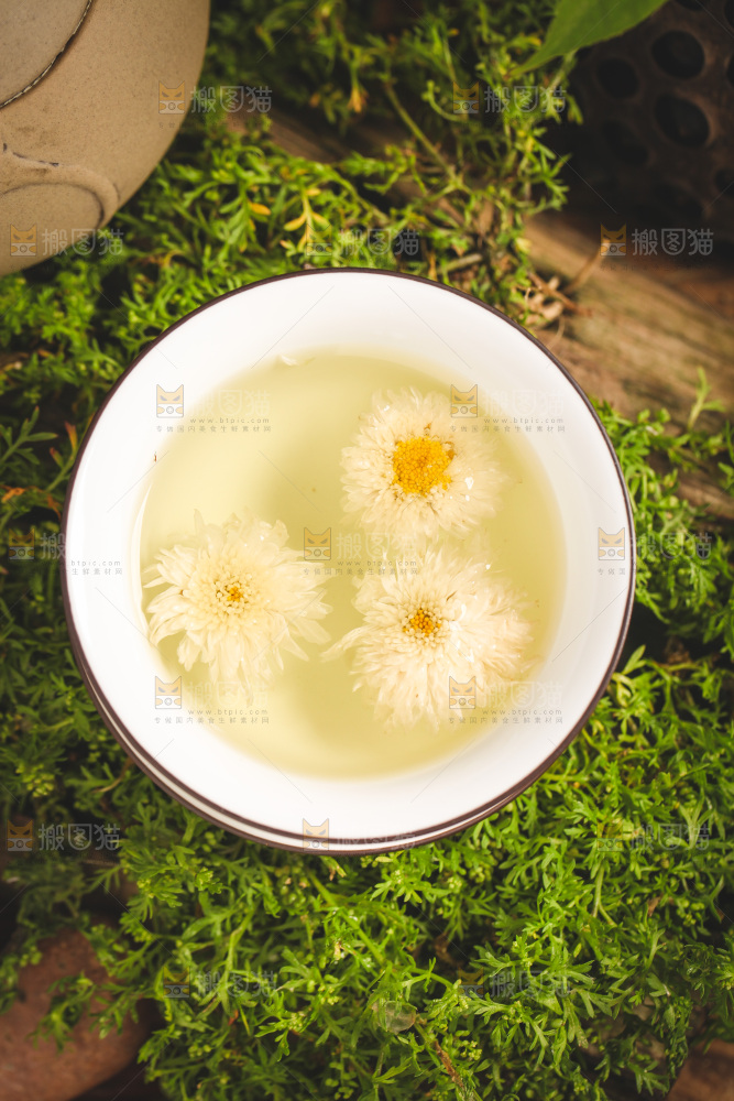一杯杭白菊菊花茶