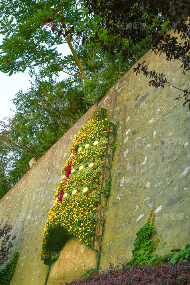 路边的植物观景