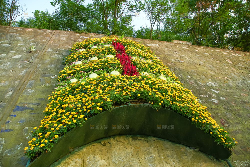 路边的植物观景