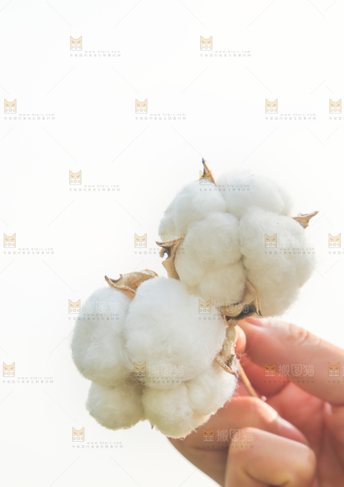 手里拿着棉花