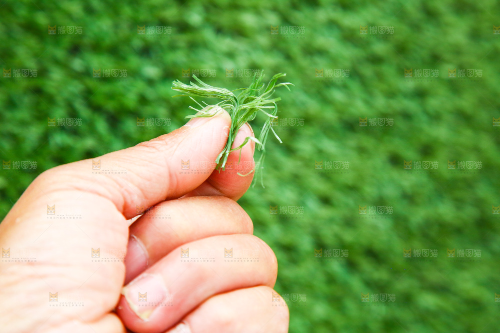 手里拿着绿色的草皮网