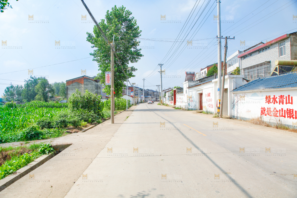 一条乡间道路
