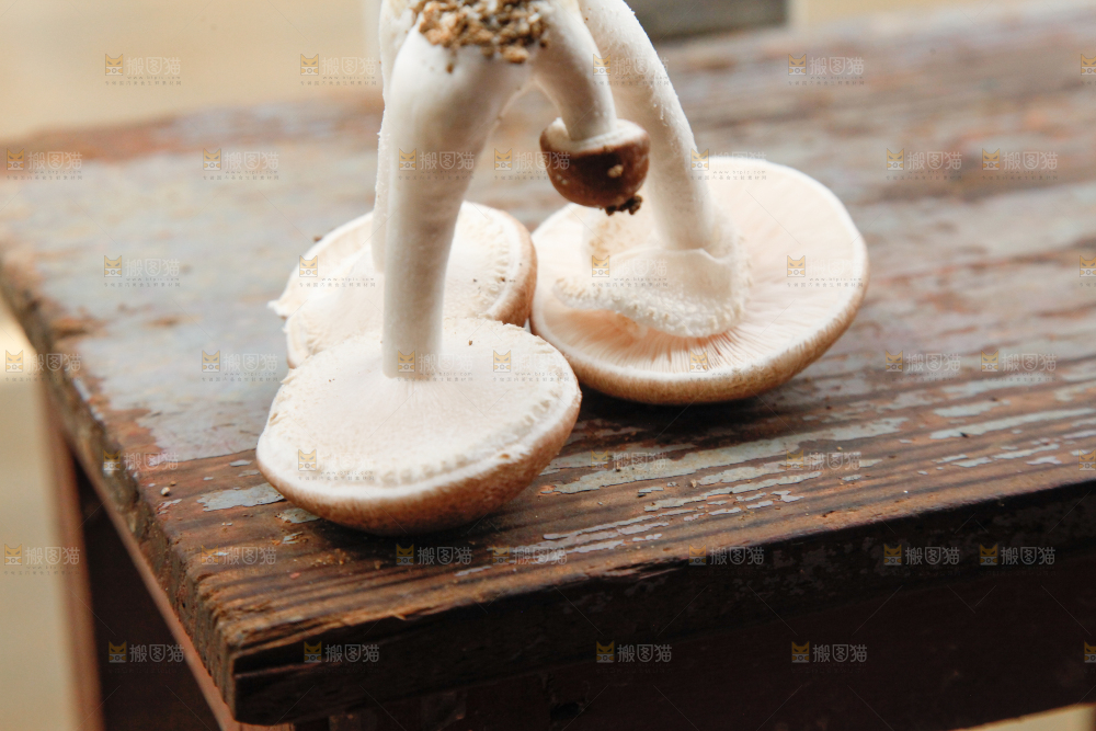 桌子上放着蘑菇