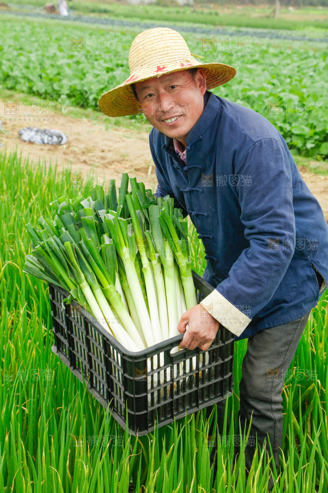农民手里拿着大葱