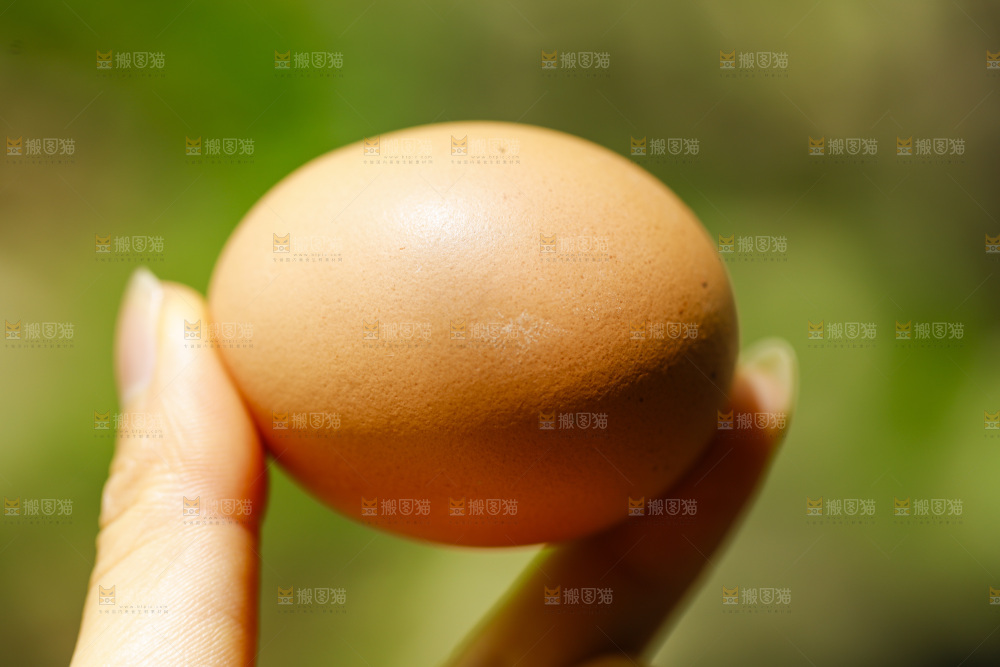 手拿鸡蛋