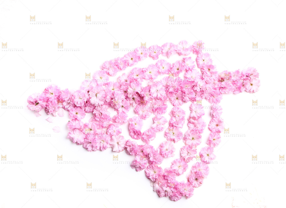白底上的花朵