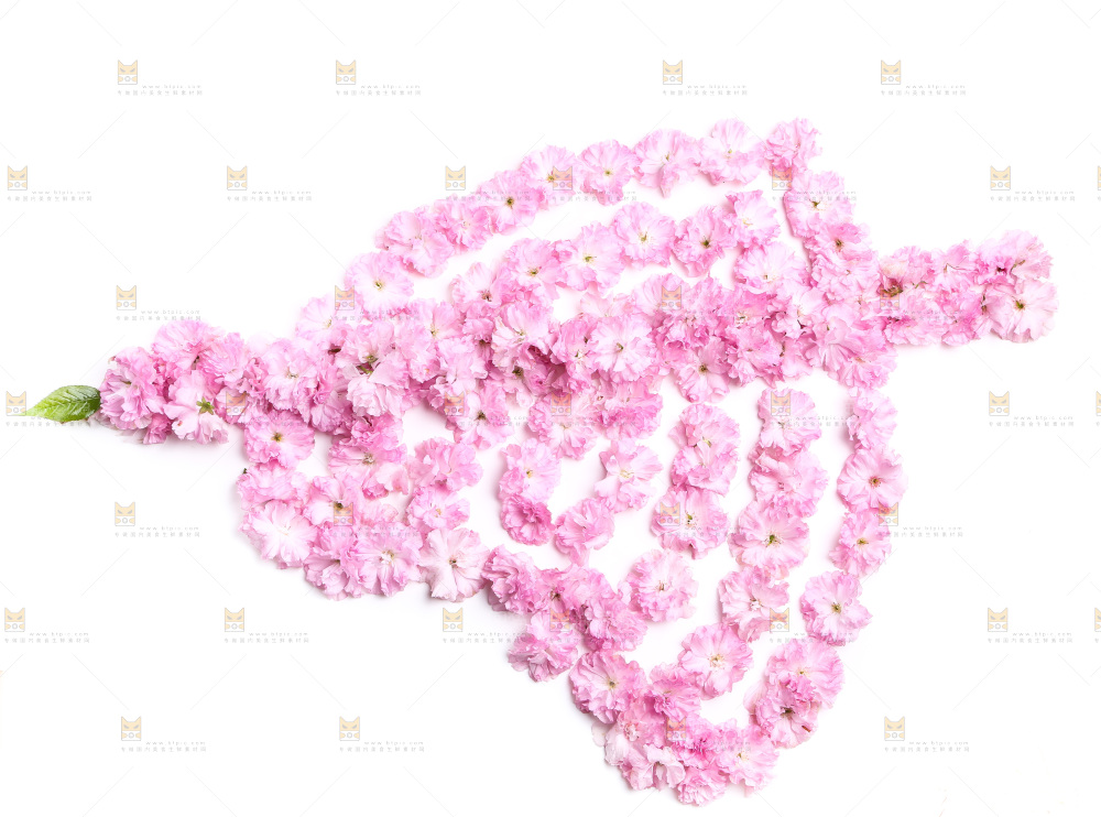白底上的花朵