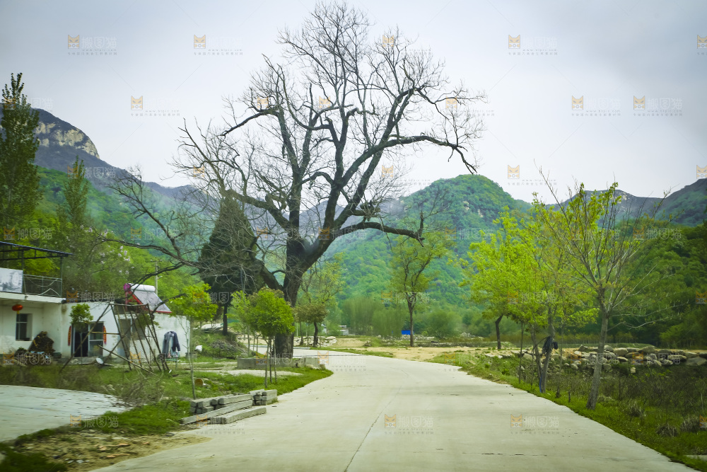 乡间小路