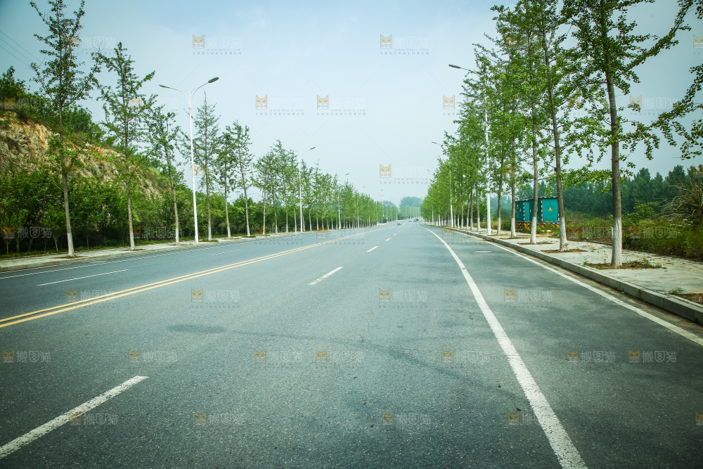 一条机动车道路