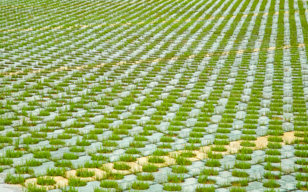 一块绿草地