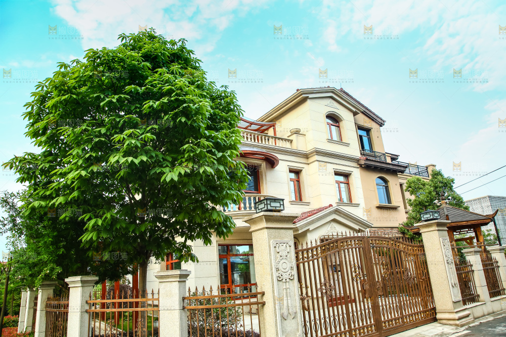 一栋别墅房