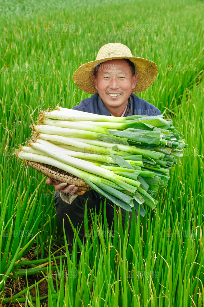 农民手里拿着大葱