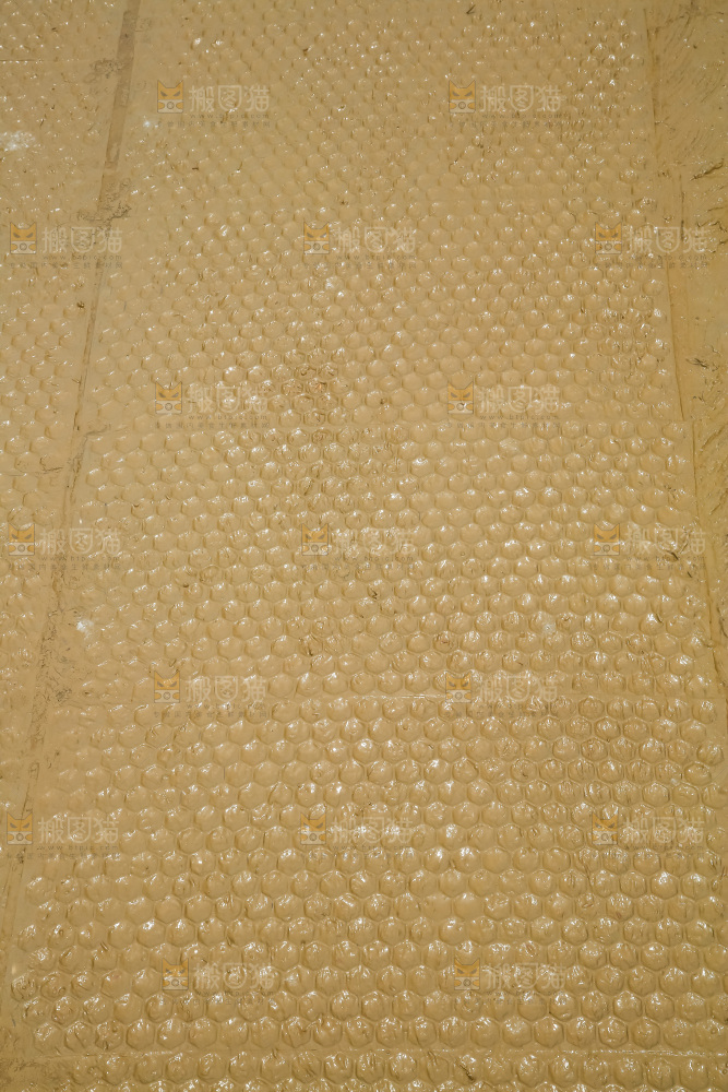 一片秧田