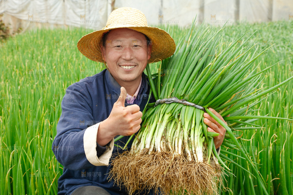 农民手里拿着大葱