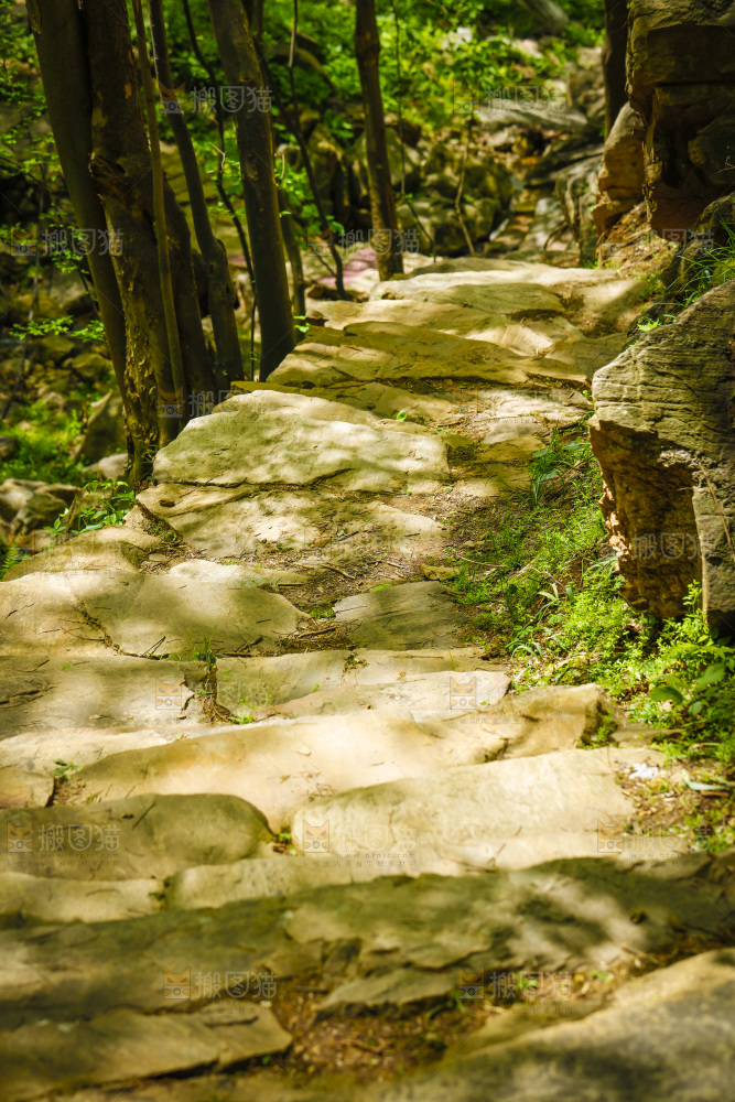 山间小路