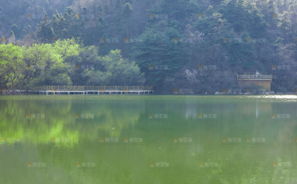 湖泊里的水