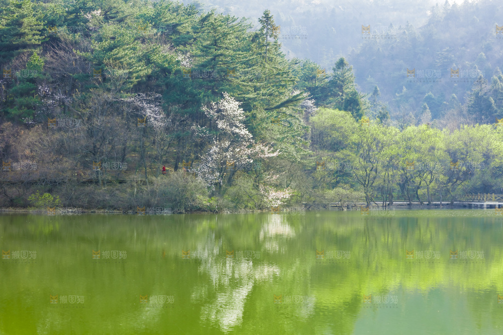 湖泊里的水
