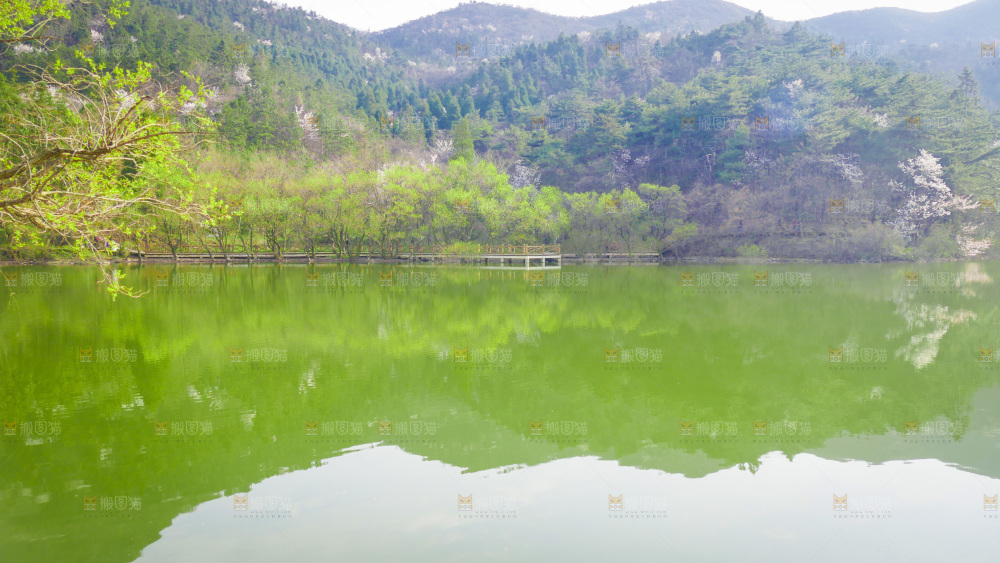 湖泊里的水