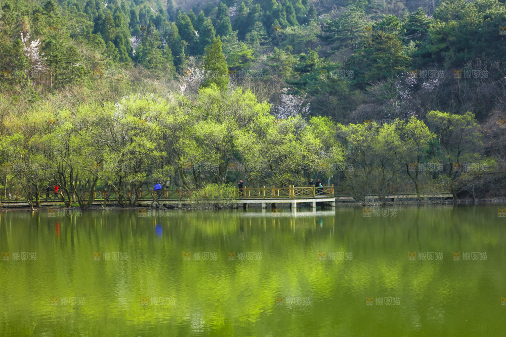 湖泊里的水