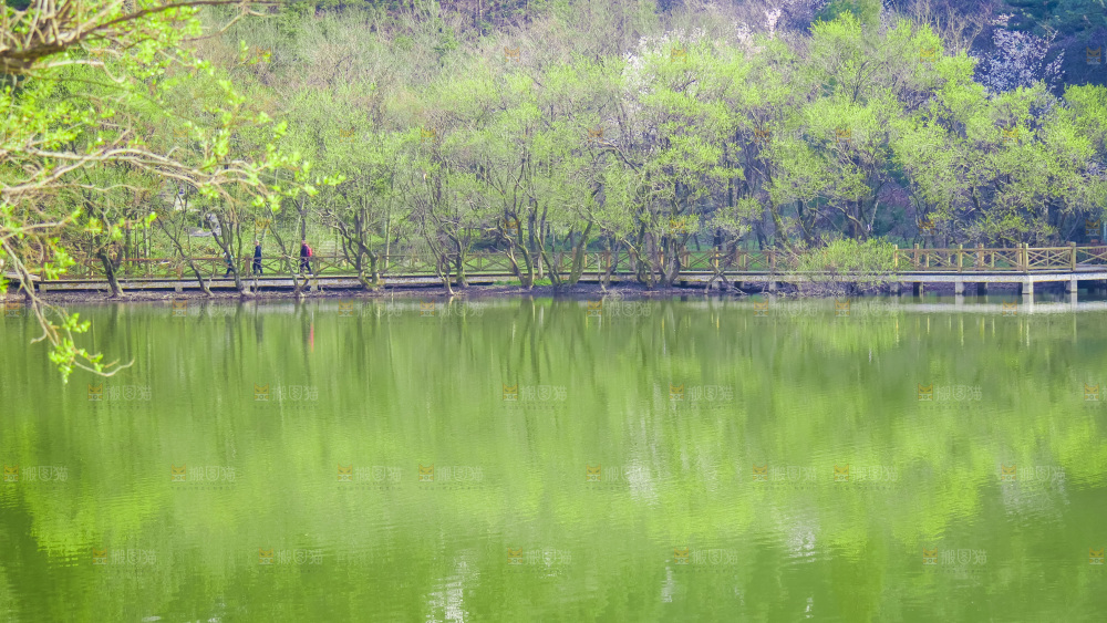 湖泊里的水