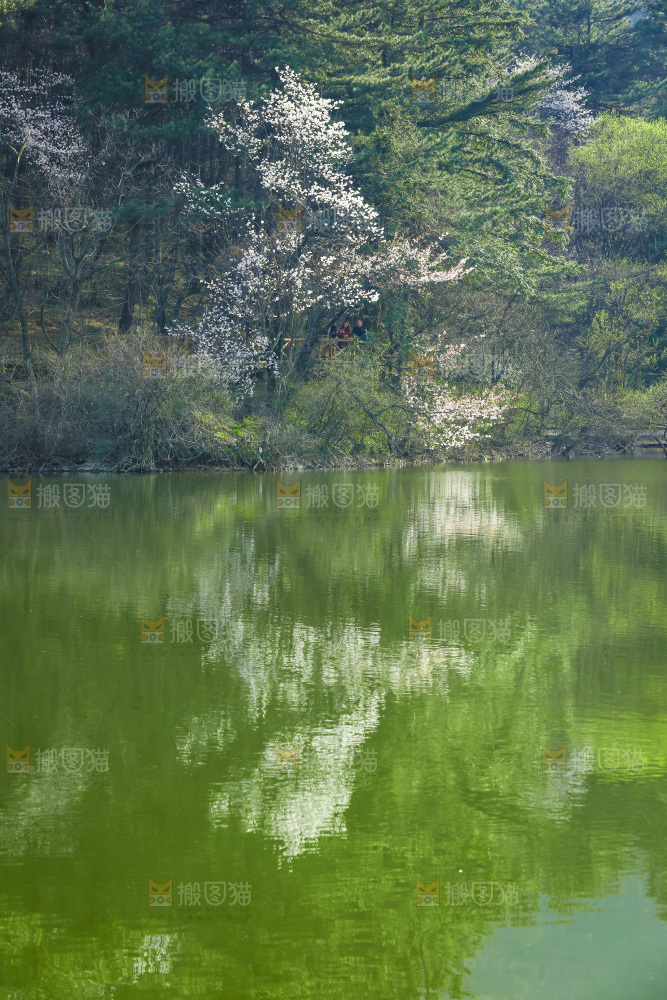 湖泊里的水