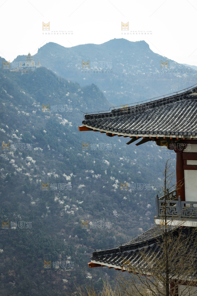 建筑的屋顶