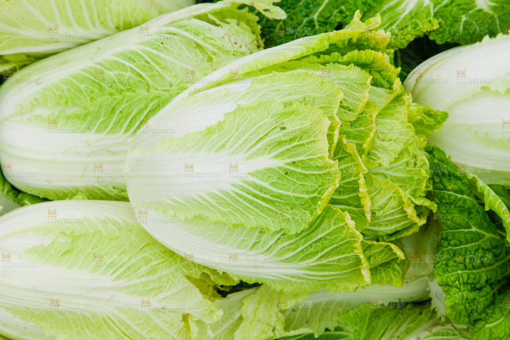 地上放着新鲜白菜