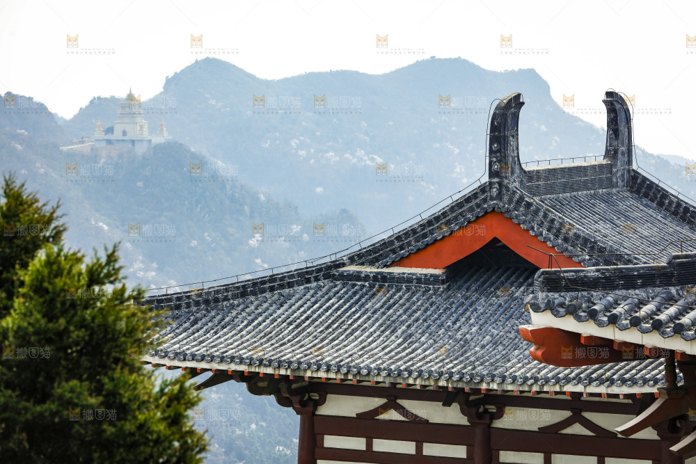 建筑的屋顶