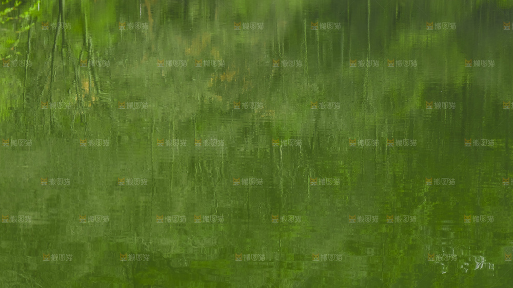 湖泊里的水