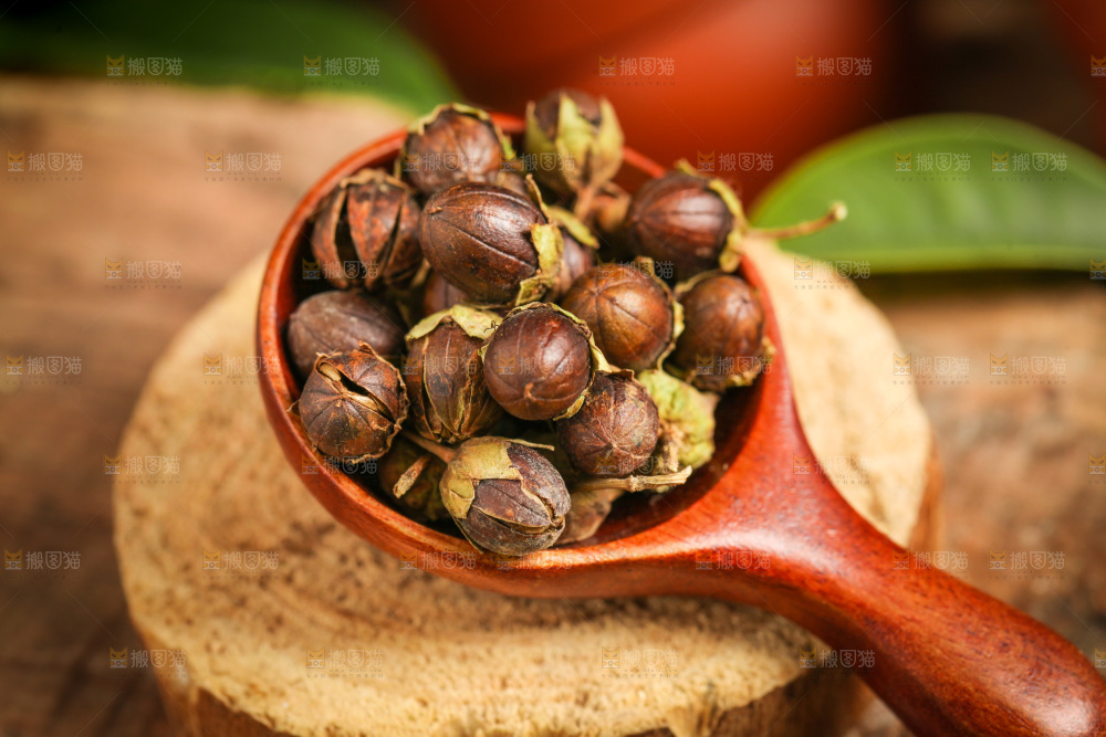 勺子里的紫薇干果
