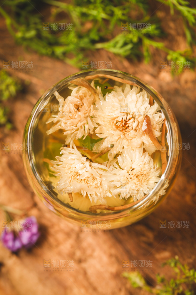 杯子里装着白菊花茶