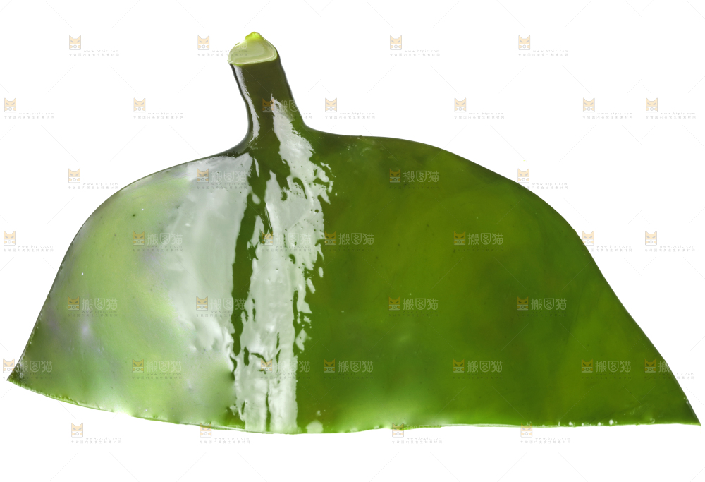 白底上摆放着海带头