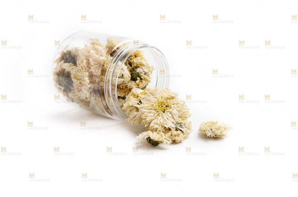 碟子里装着白菊花