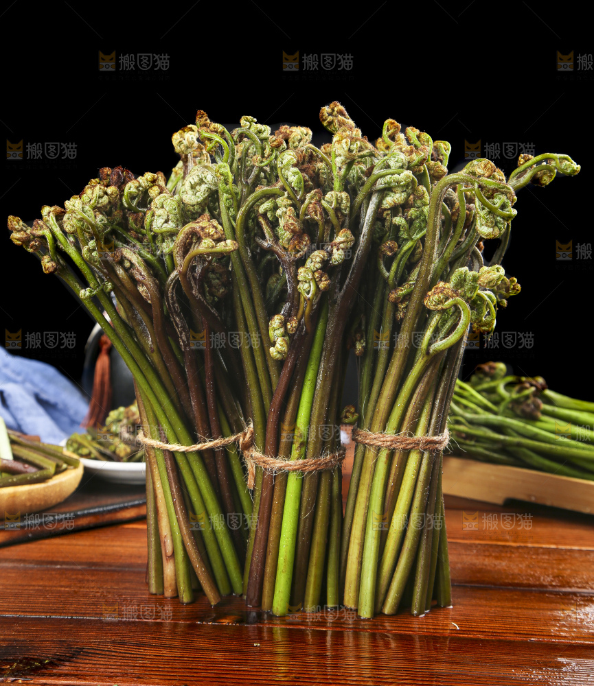 木底上的蕨菜