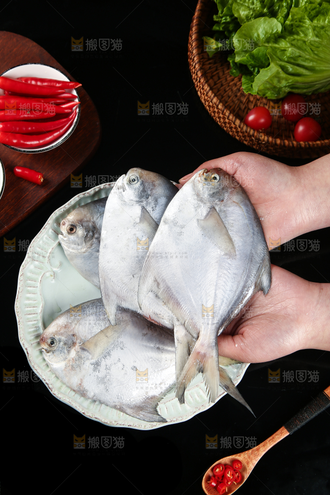 手里拿着银鲳鱼