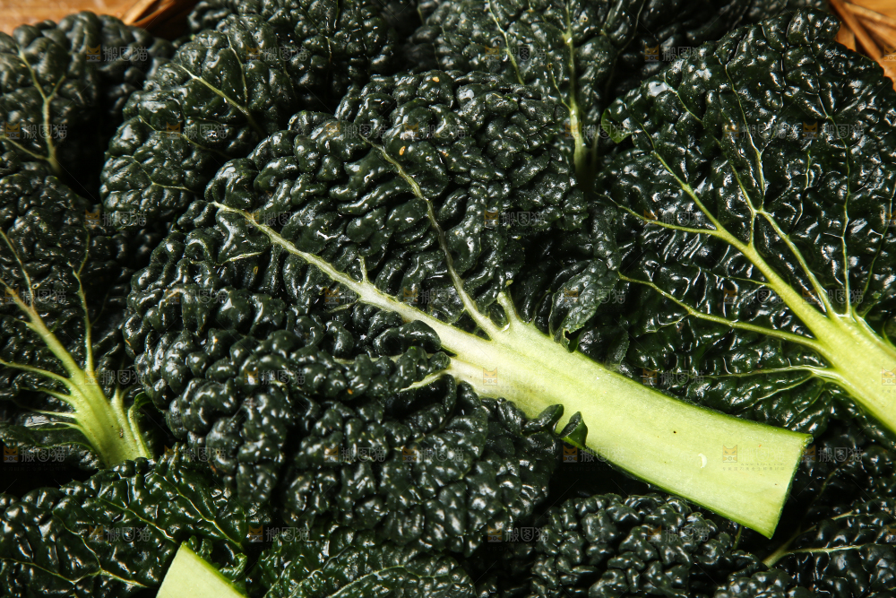 一堆新鲜泡泡菜