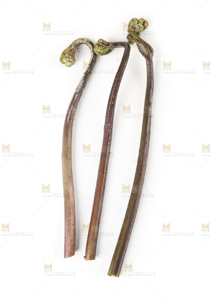 白底上放着拳头菜