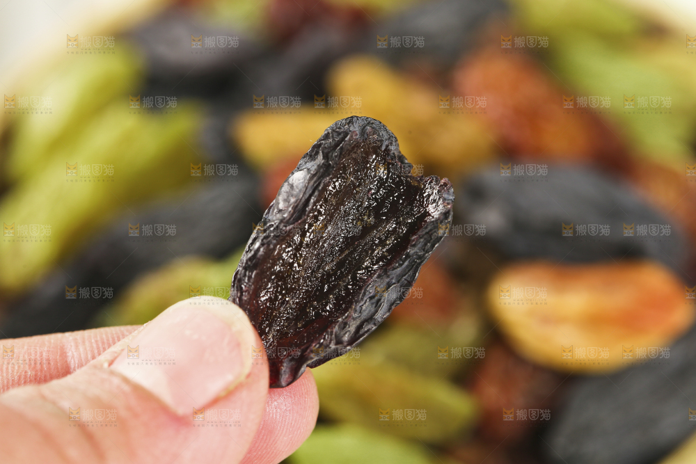 手里拿着黑加仑葡萄干