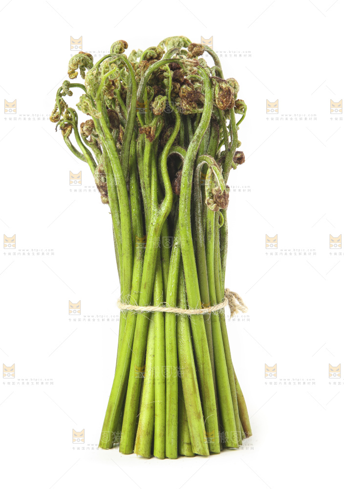 白底上放着野生蕨菜