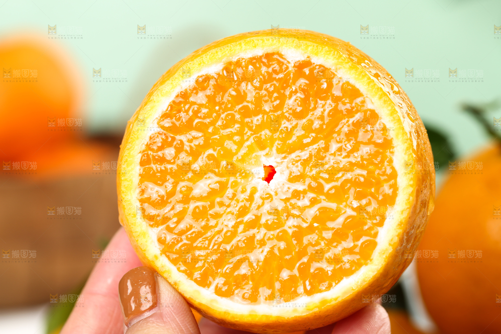 手里拿着皇帝贡柑