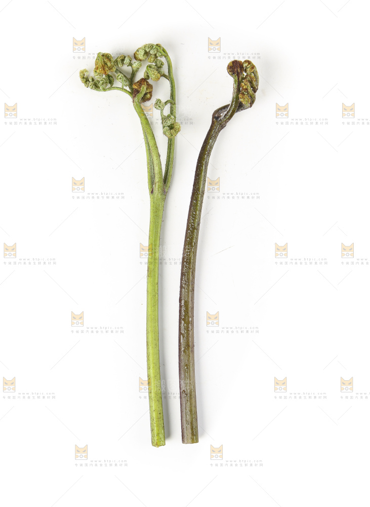 白底上放着拳头菜