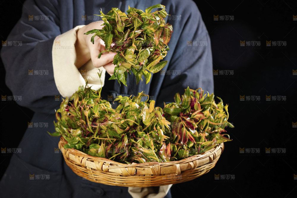 手里端着一篮香椿